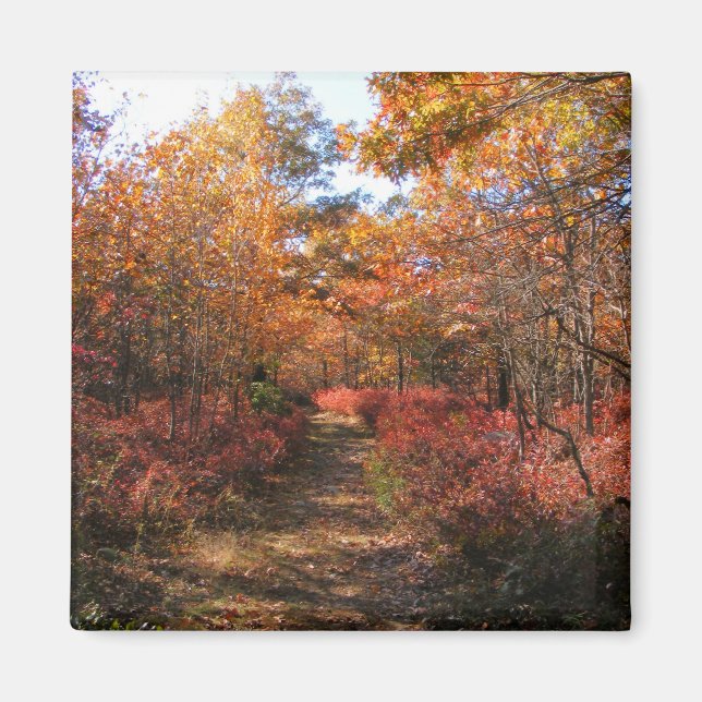 Hösten i New England 32 ~ magnet (Framsidan)
