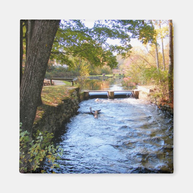 Hösten i New England 47 ~ magnet (Framsidan)