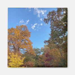 Hösten i New England Magnet