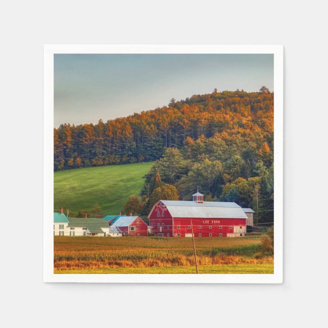 Hösten i New Hampshire Pappersservett (Framsidan)