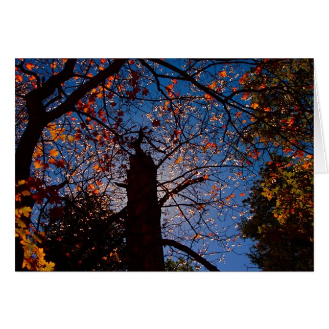 Hösten i New mexico Hälsningskort (Framsidan Horizontal)