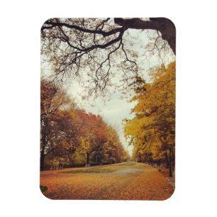 Hösten i New York City Riverside Park NYC Photo Magnet