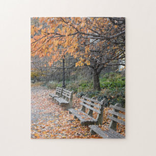 Hösten i New York City Riverside Park NYC Photo Pussel