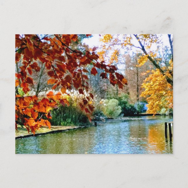 Hösten i North Carolina Vykort (Framsida)