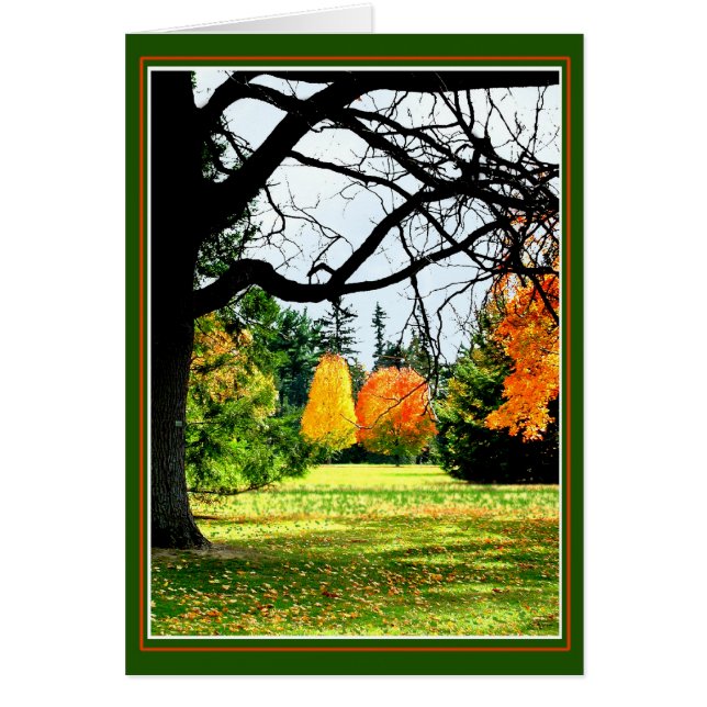 Hösten i parken hälsningskort (Framsidan)