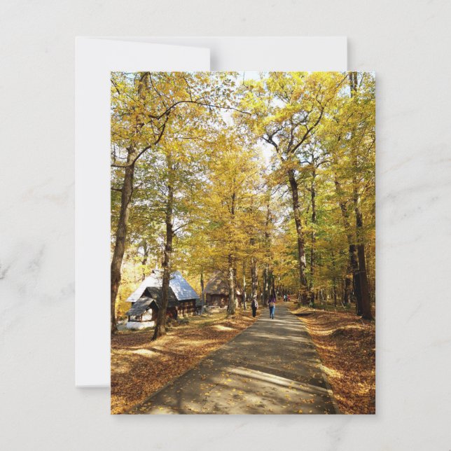 Hösten i parken i Rumänien (Framsida)