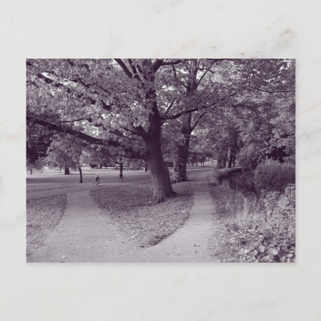Hösten i parken - Lila Toned BW Vykort (Framsida)