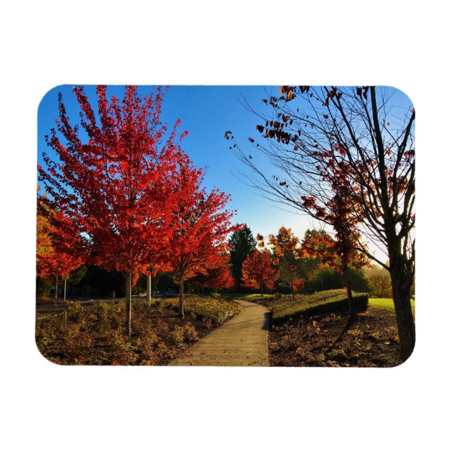 Hösten i parken, Oregon Magnet (Horisontell)