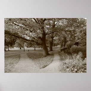Hösten i parken - Sepia Toned BW Poster