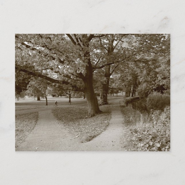 Hösten i parken - Sepia Toned BW Vykort (Framsida)