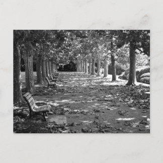 Hösten i parken: Tokyo Vykort