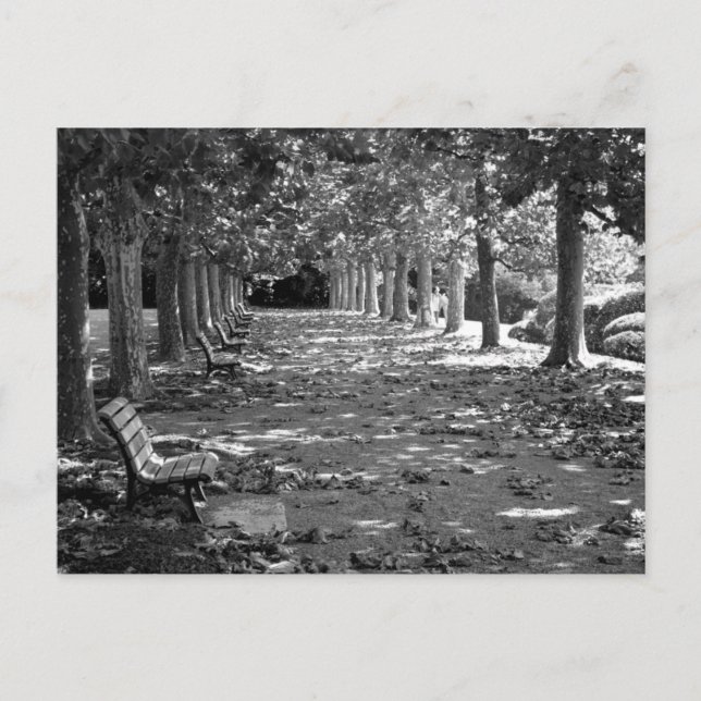 Hösten i parken: Tokyo Vykort (Framsida)