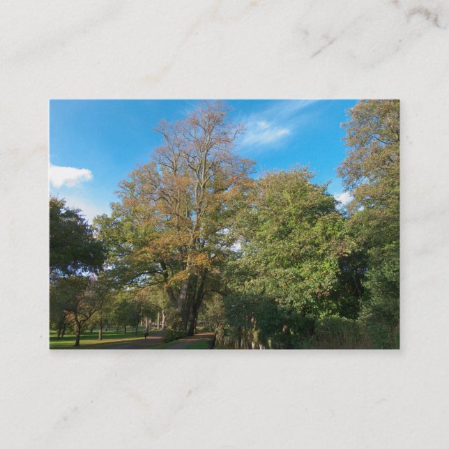 Hösten i parken visitkort (Framsida)