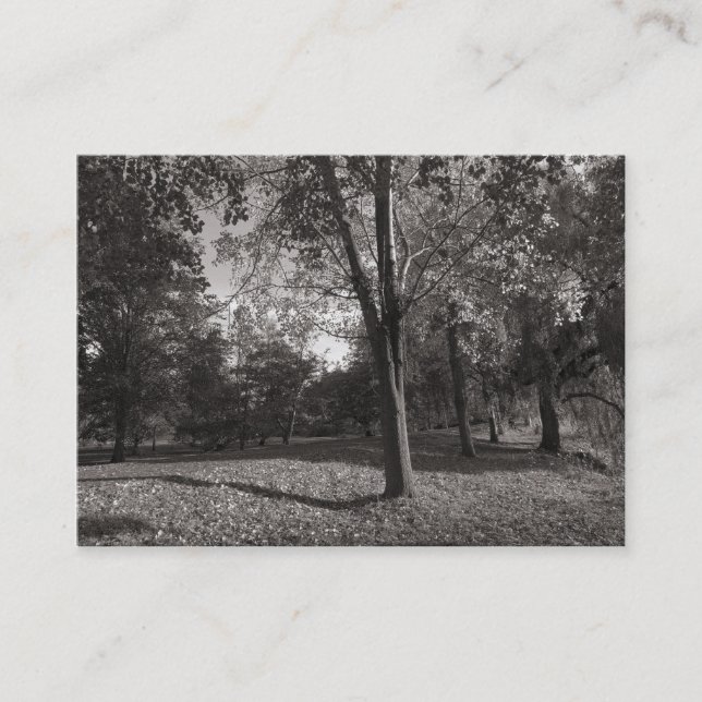 Hösten i parken visitkort (Framsida)