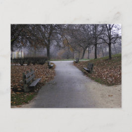 Hösten i parken vykort
