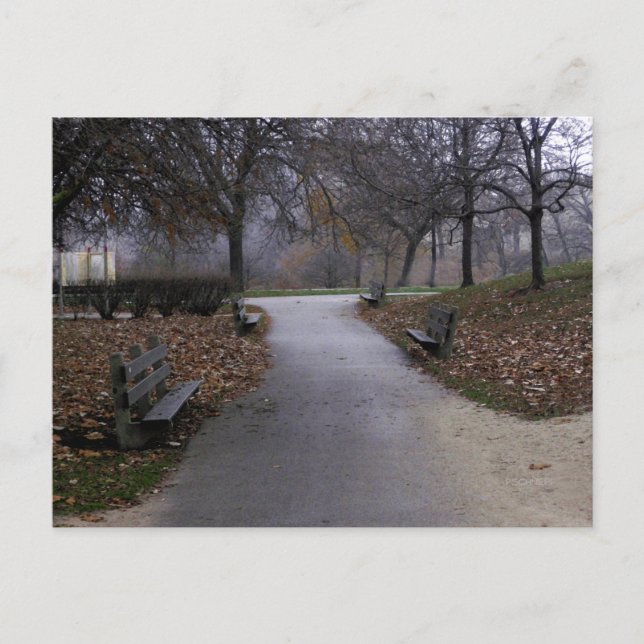 Hösten i parken vykort (Framsida)