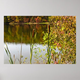 Hösten i Pond Poster