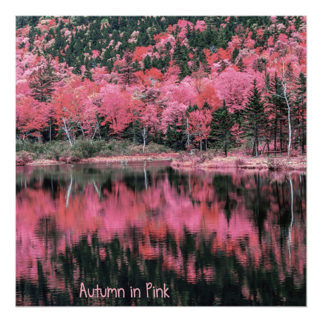 Hösten i Rosa Fototryck (Framsidan)