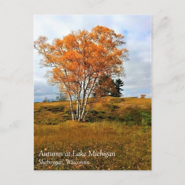 Hösten i Sjö Michigan-vykort Vykort (Framsida)