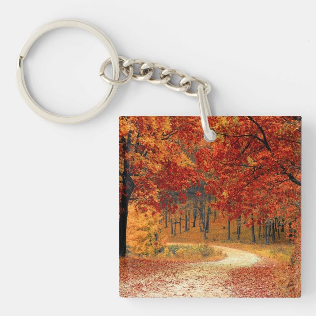 hösten i skogen (Framsidan)