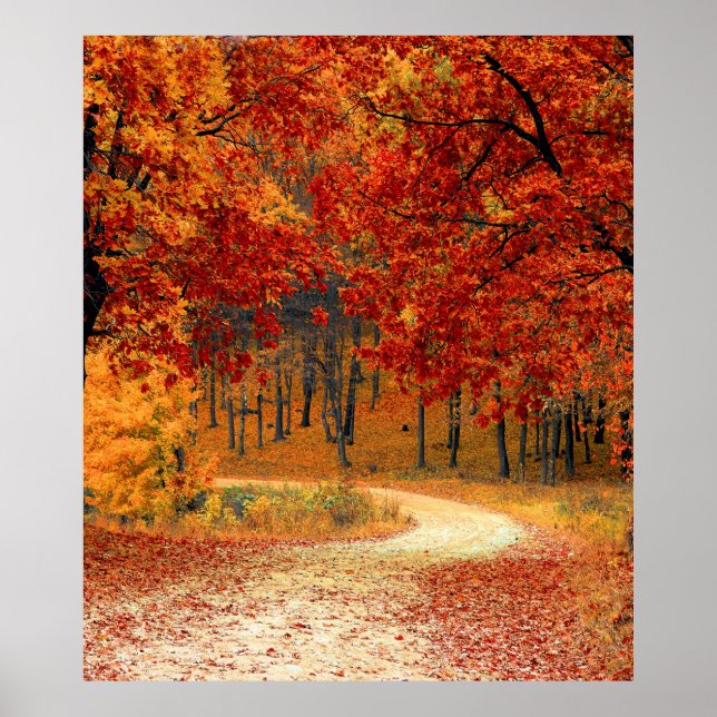 hösten i skogen poster (Framsidan)