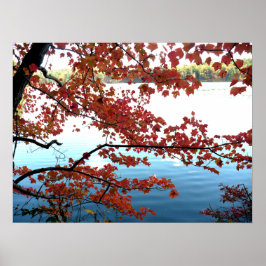 Hösten i Walden Pond Poster