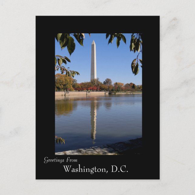 Hösten i Washington DC Vykort (Framsida)