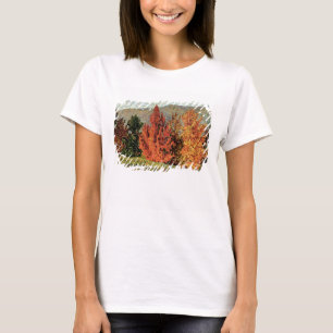 Hösten landskap, c.1903 (olja på kanfas) t-shirt