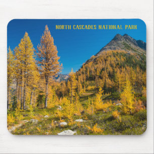 Hösten Larches på Easy Pass Washington Musmatta