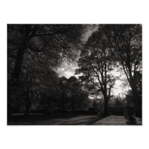 Hösten liggande Bute Park Cardiff Fototryck