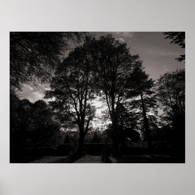 Hösten liggande Bute Park Cardiff Poster (Framsidan)