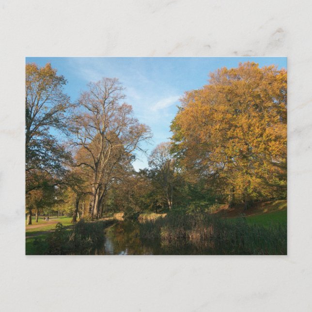 Hösten liggande Bute Park Cardiff Vykort (Framsida)