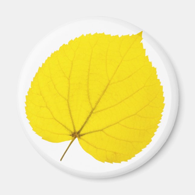 Hösten linden löv magnet (Framsidan)