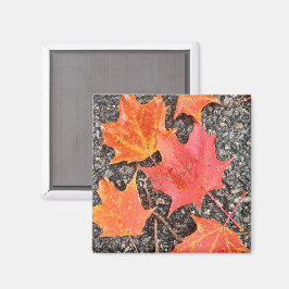 Hösten Löv Collage Magnet