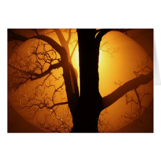 Hösten Måne Shining genom Träd Hälsningskort (Framsidan Horizontal)