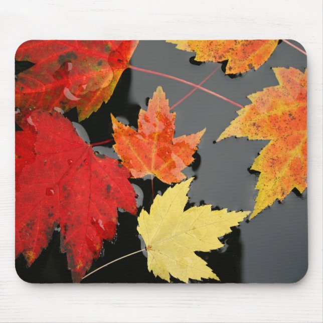 Hösten Maple Löv färg red pond Mousepad Musmatta (Framsidan)