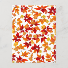 Hösten Midnight Helg Vykort