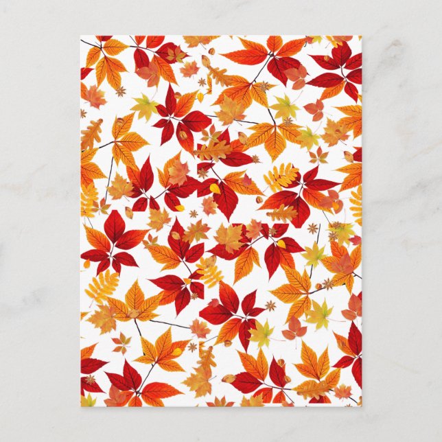 Hösten Midnight Vykort (Framsida)