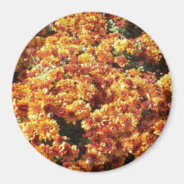 Hösten Morsa Magnet