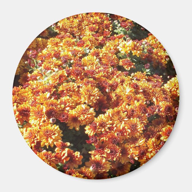 Hösten Morsa Magnet (Framsidan)