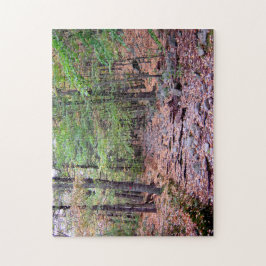 Hösten om Blue Backe Reservation Red Dot Trail Pussel