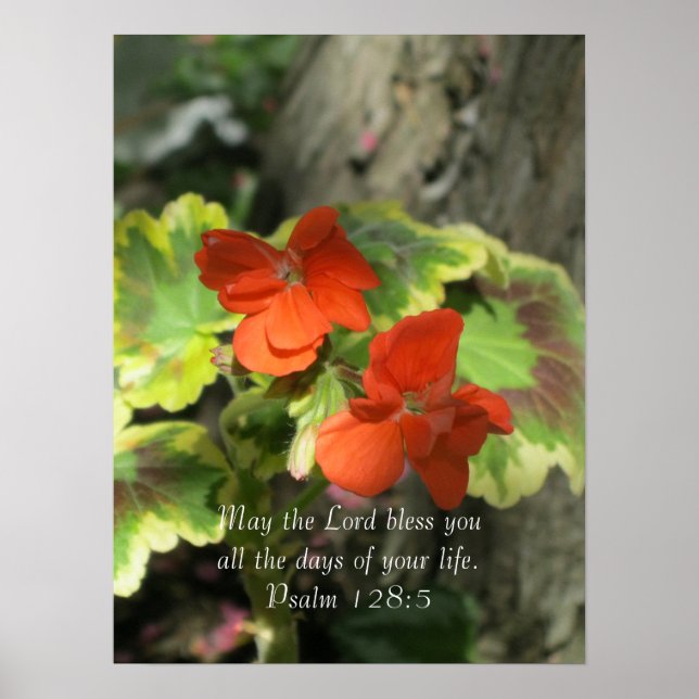 Hösten Orange Geraniums ~ Psalm 128:5 Poster (Framsidan)