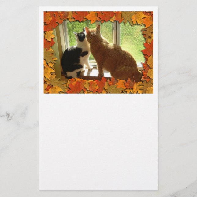 Hösten Orange Tabby katt Brevpapper (Framsida)