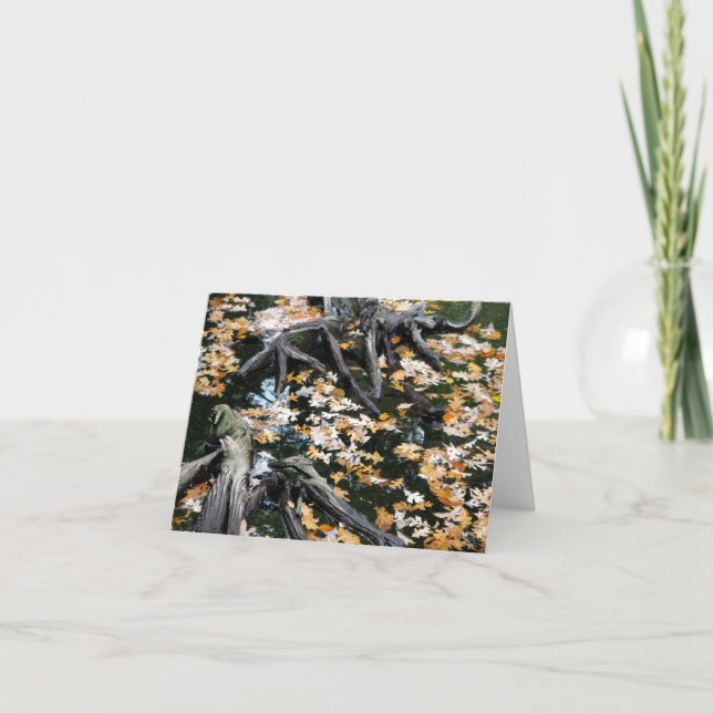 Hösten Otter Pond of Lövs Anteckningskort (Framsida)