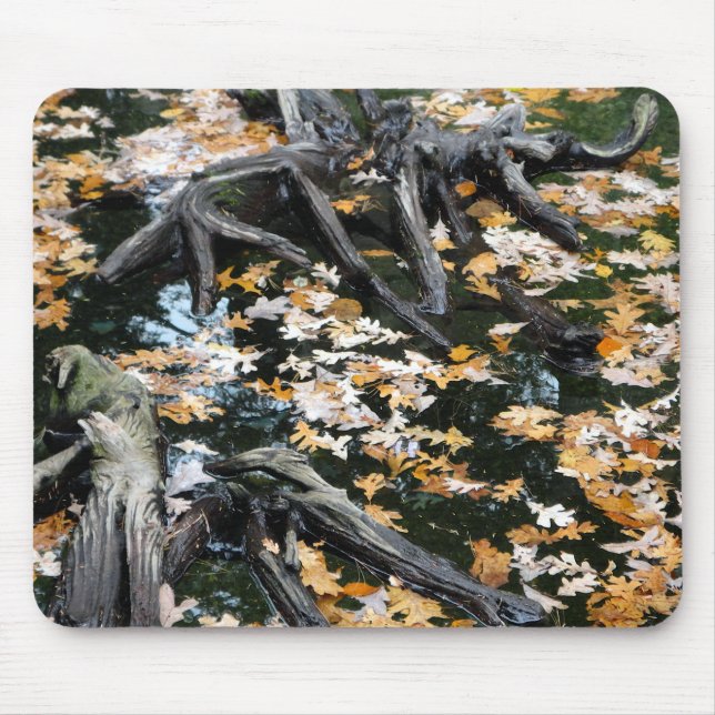 Hösten Otter Pond of Lövs Musmatta (Framsidan)