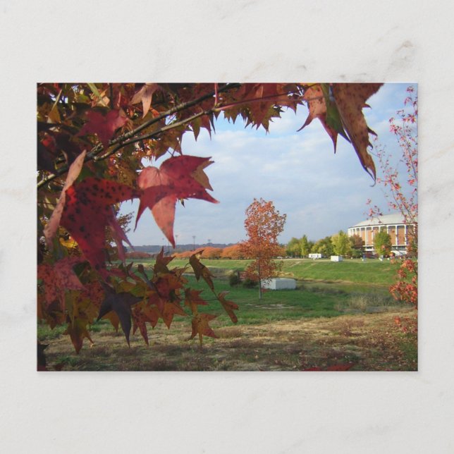 Hösten över vykortet Convo Vykort (Framsida)