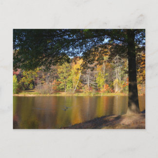 Hösten Post Card Rockwell Park Bristol CT Vykort