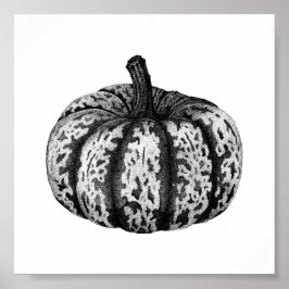 Hösten Pumpkin Bläck Stipple Teckning Poster