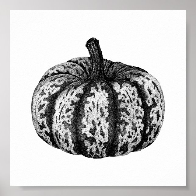 Hösten Pumpkin Bläck Stipple Teckning Poster (Framsidan)
