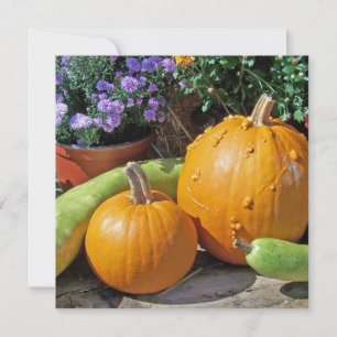 Hösten Pumpkins and Flowers